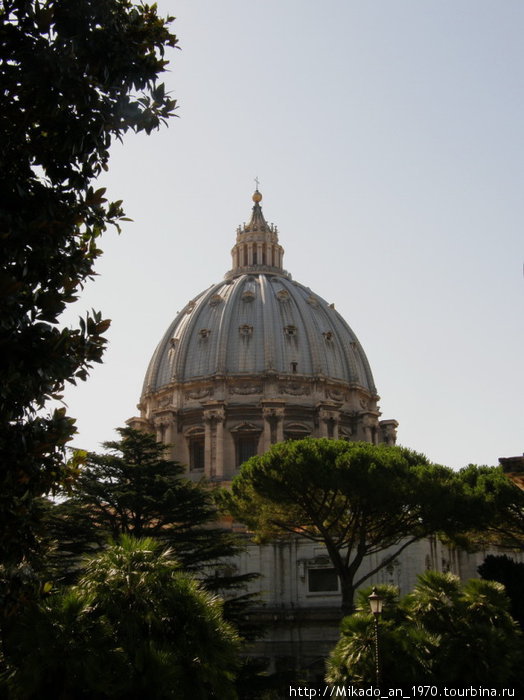 Купол Собора сквозь деревья Рим, Италия