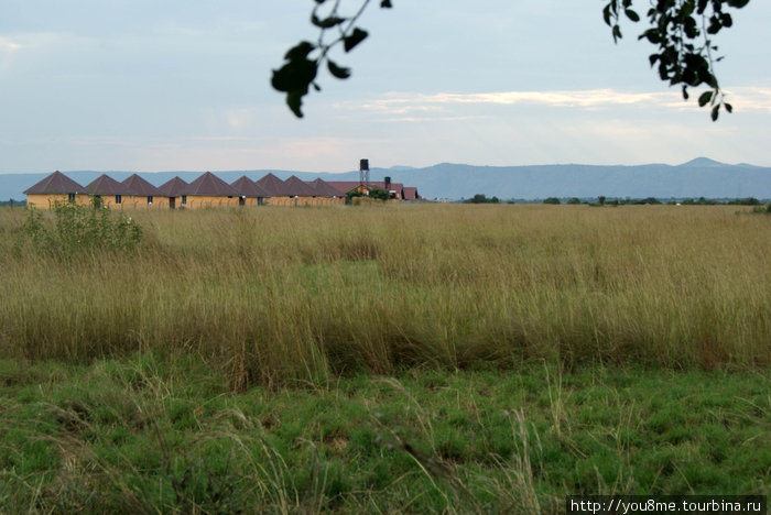 со всех сторон высокая трава и Голубые горы на горизонте Озеро Альберт, Уганда