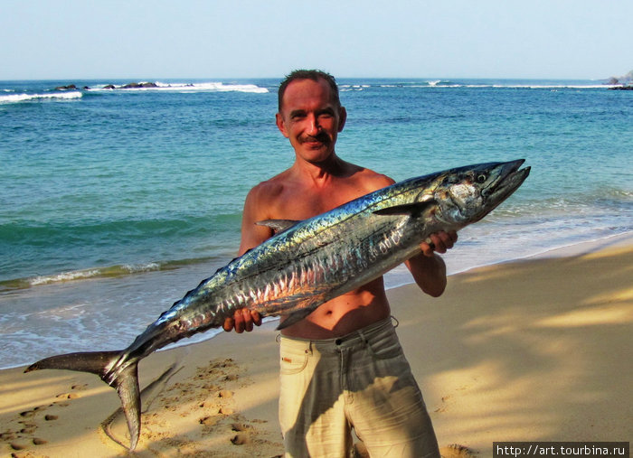 Российский рыбак (дали подержаться) Южная провинция, Шри-Ланка