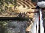 Катарагама. Вся рыба в священной реке Меник-Ганга собирается в одном месте.