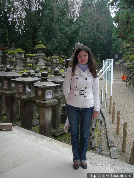 На фоне каменных фонарей Нара, Япония