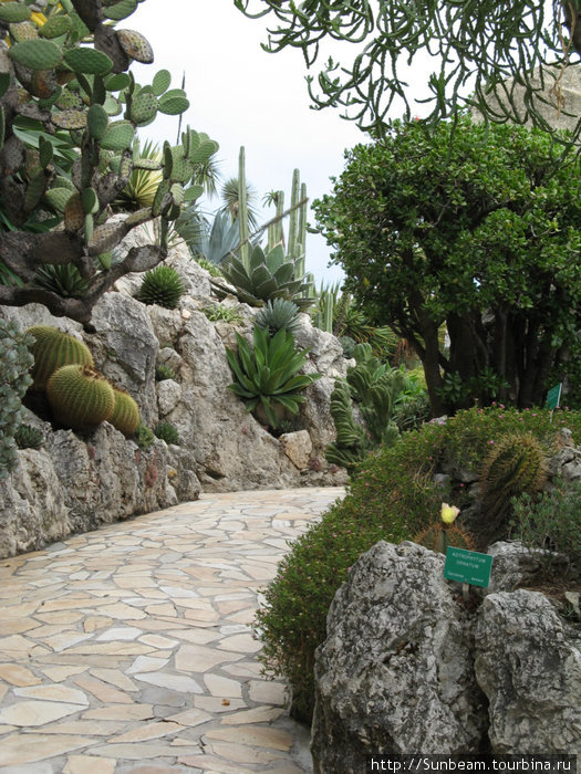 Экзотический сад Монако Монако