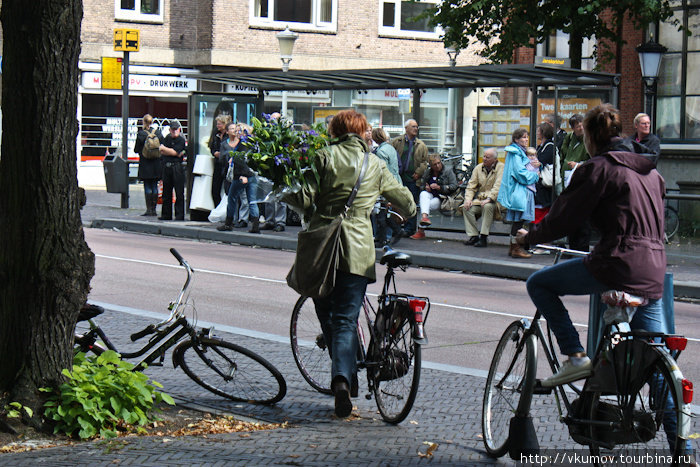 Особенности национального велокатания Утрехт, Нидерланды