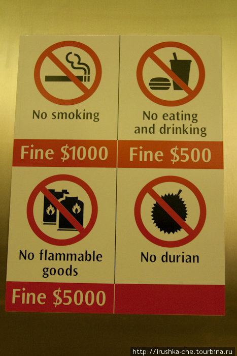 Список того, что нельзя делать в сингапурском метро.
Например, нельзя провозить дурианы. Сингапур (город-государство)