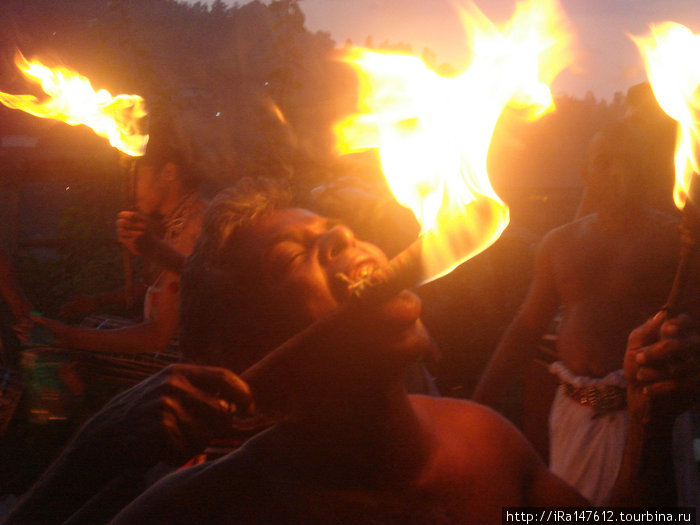 Национальные танцы и шоу с огнём Канди, Шри-Ланка