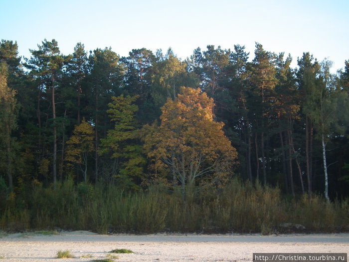 Осенние краски на пляже в Булдури Юрмала, Латвия