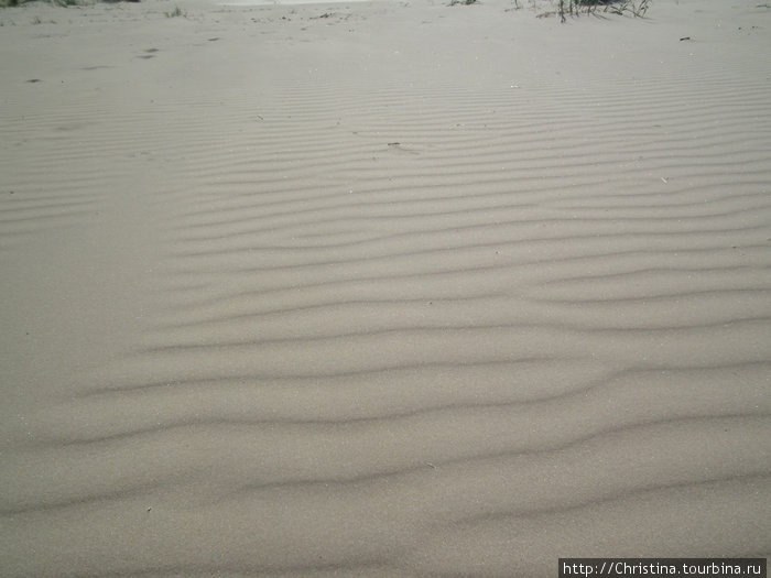 Пусть вам приснится песок Юрмалы. А Вы знаете, что песок во сне — к богатству?! Юрмала, Латвия