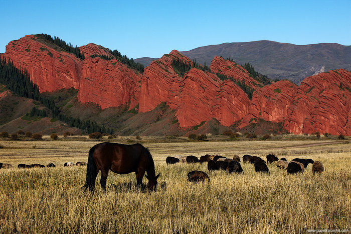 Скалы «Семь быков» в ущелье Джеты-Огуз. Иссык-Кульская область, Киргизия