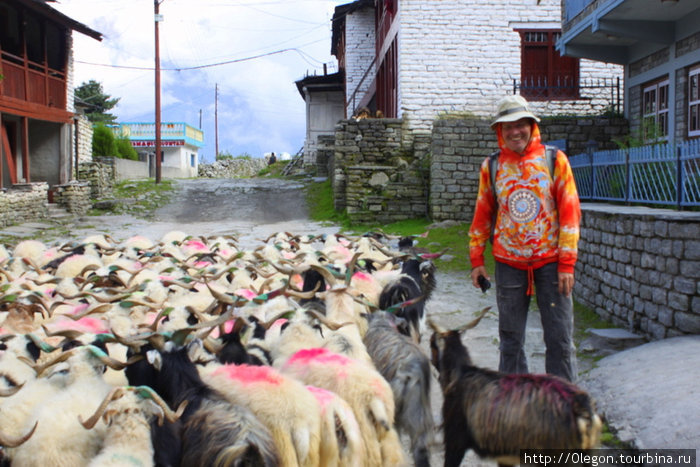 Этнографическая прогулка по деревням Мустанга Зона Дхавалагири, Непал