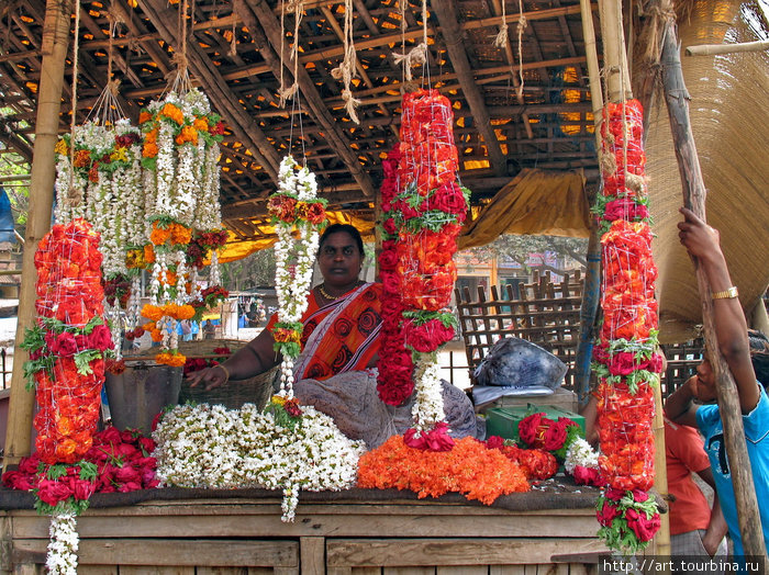 Куколка цветочница. Хампи, Индия
