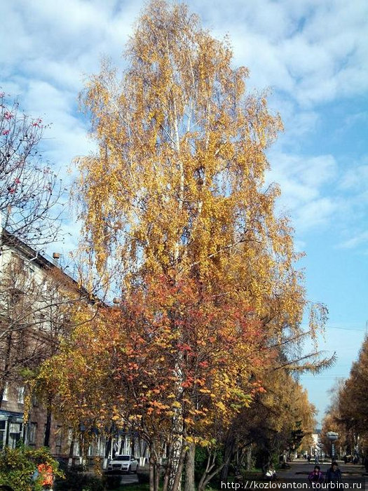Осенний сквер на ул.Весенней. Кемерово, Россия