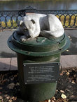 Памятник бездомной собаке.