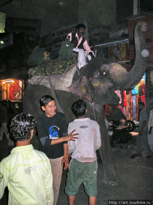 По улицам слона водили. Индия