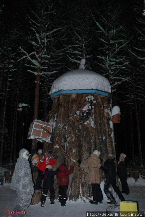 Мудрый дуб Рованиеми, Финляндия