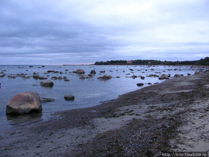 берег Виймси сплошь усеян валунами — подарками ушедшего ледника Виймси, Эстония