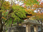 В храме Сюзэндзи (храм связан с именем Кобо-дайси)