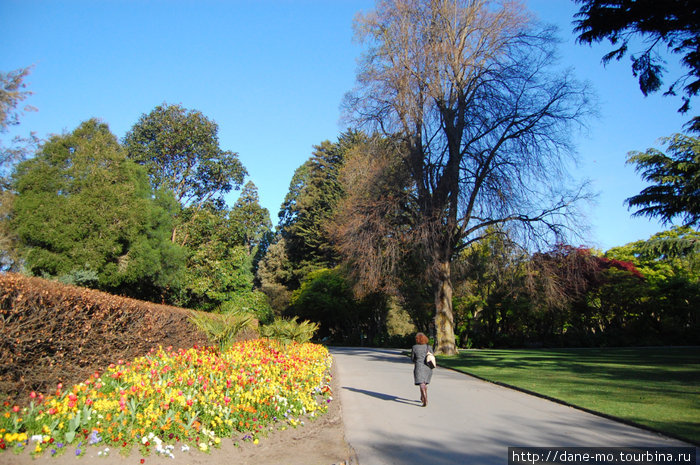 Ботанический сад Крайстчерч, Новая Зеландия