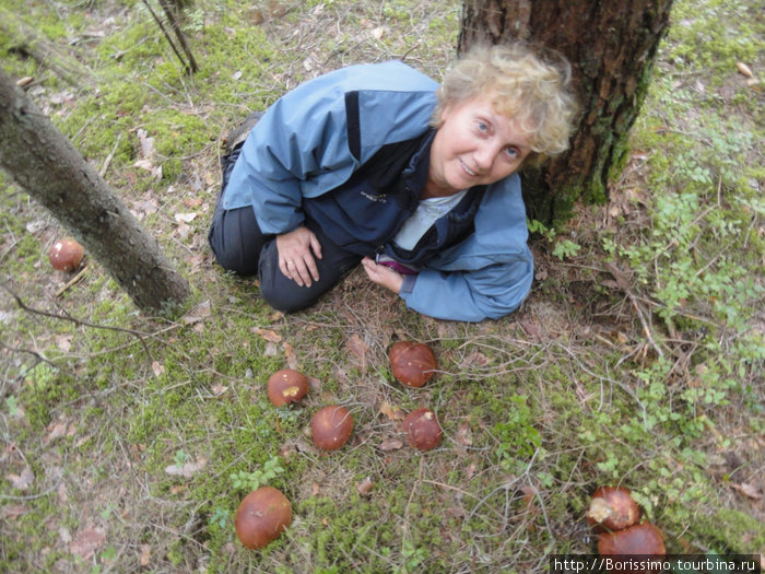 Щедрая латвийская осень