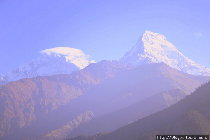 Снежники, радующие глаз Зона Гандаки, Непал