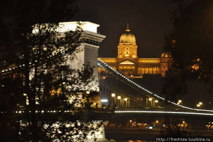 С приходом темноты золото и серебро заливает обе стороны Дуная: светятся знаковые силуэты на берегах Буды и Пешта — Цепной мост и дворцы Пешта... Здесь, на набережной можно окончить долгую прогулку. Будапешт, Венгрия