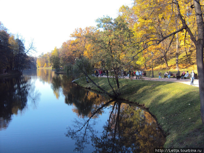 Верхнецарицынский пруд Москва, Россия