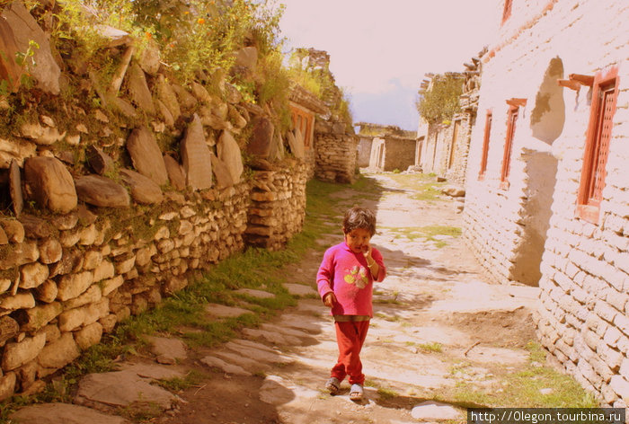 Жизнь деревни зависит от бренди Тукуче, Непал