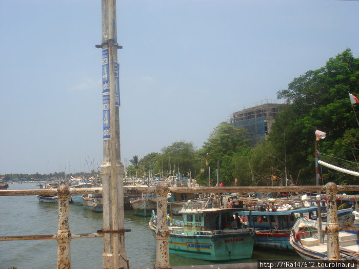 Порт Нигомбо Шри-Ланка