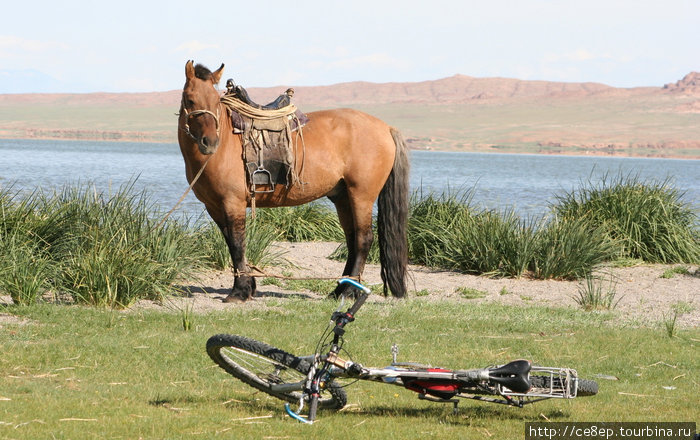 Встреча двух различных видов транспорта. Монголия