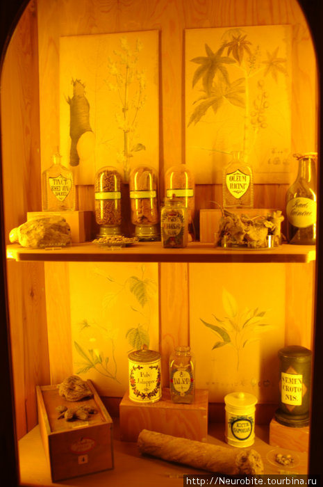 Жаба + порошок мумии + корень аконита = аптека X в Гейдельберг, Германия