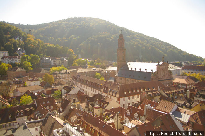 Вид на Церковь иезуитов с крыши церкви Святого Духа Гейдельберг, Германия