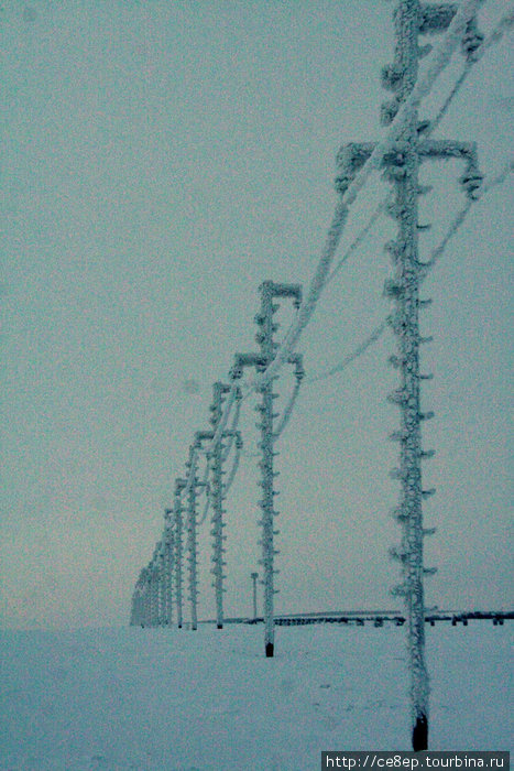 Электрические столбы и провода с намерзшим снегом. Ненецкий автономный округ, Россия