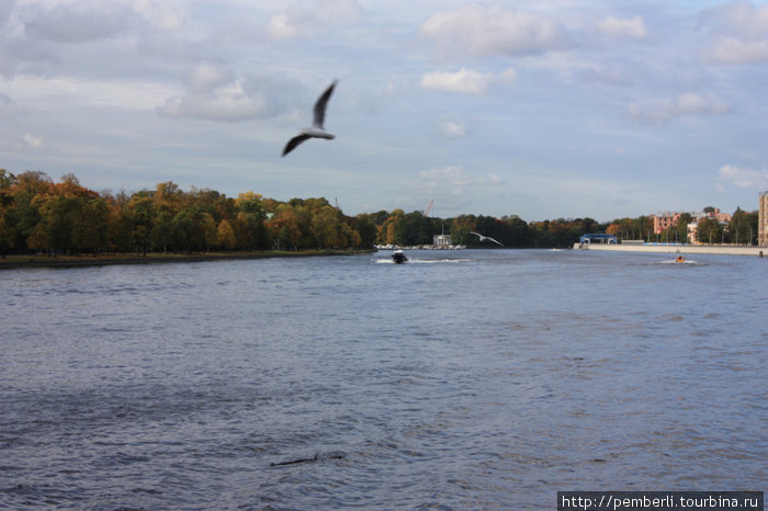 Осень на Каменном острове Санкт-Петербург, Россия