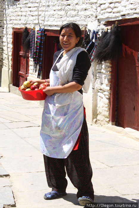 Яблочная столица Мустанга Марфа, Непал