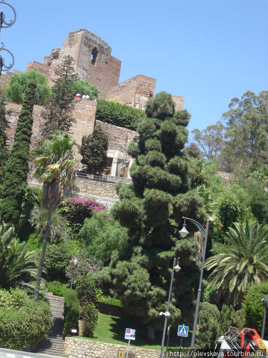 Экскурсия по Альгамбре Гранада, Испания