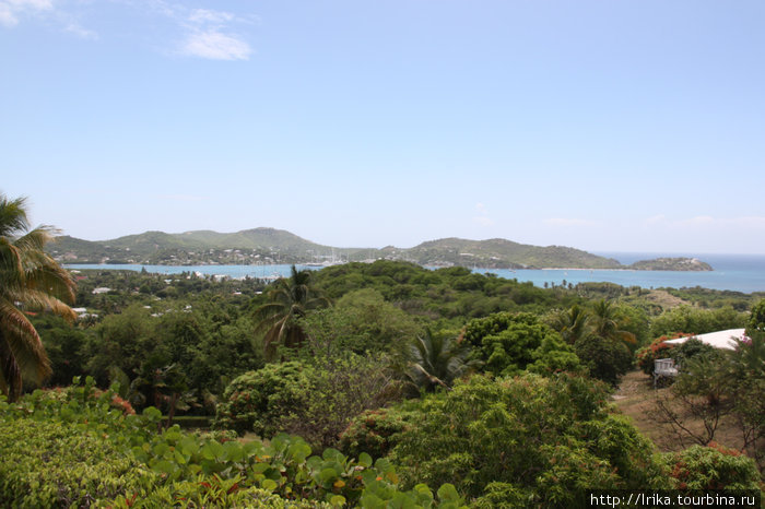 Зеленый остров Остров Антигуа, Антигуа и Барбуда