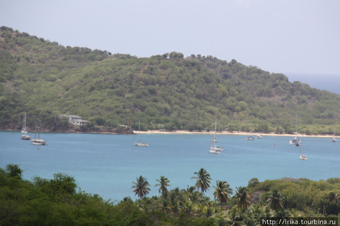 Зеленый остров Остров Антигуа, Антигуа и Барбуда