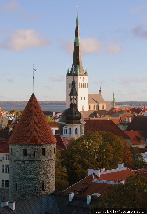 вид на церковь Таллин, Эстония