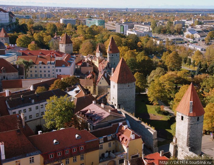 233 ступеньки самой высокой церкви средневековья Таллин, Эстония