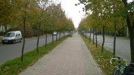 Бульвар в Бердичеве