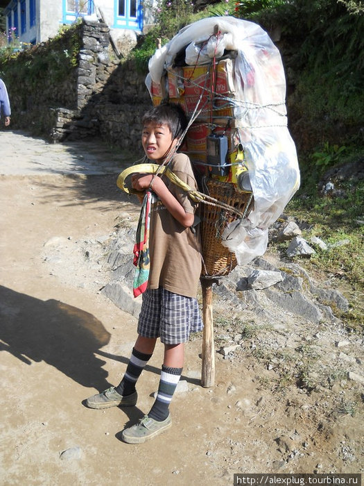 Маленький портер. Я так и не добился ответа: ходит ли он в школу, или уже имеет своих детей... Непал