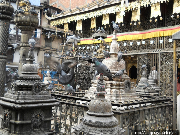 Катманду. Непал