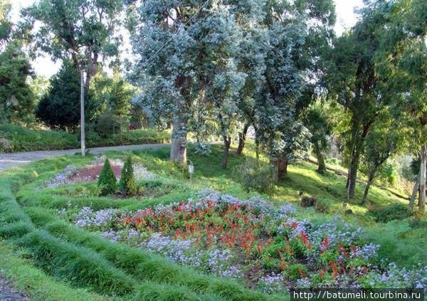 Ботанический сад Аджария, Грузия
