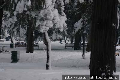 Зима в Батуми Батуми, Грузия