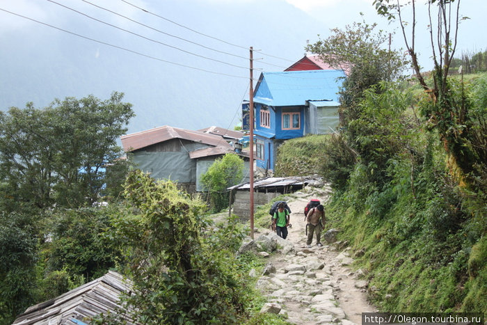 Здесь заканчивается трек Тикхедунга, Непал