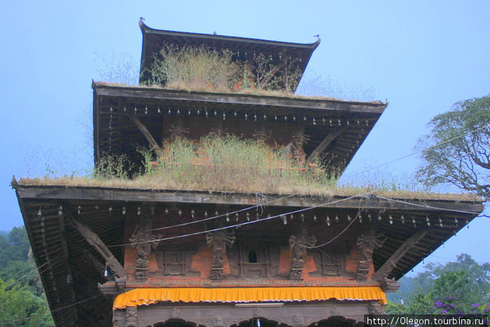 Крыша заросла травой Тансен, Непал