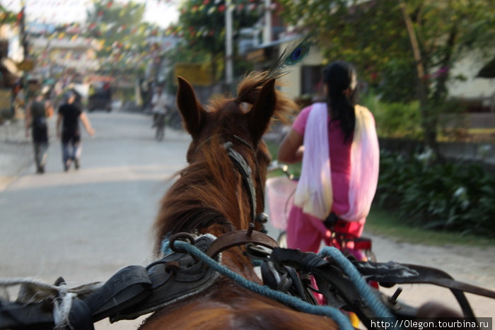 Лошадь и вело Зона Нараяни, Непал
