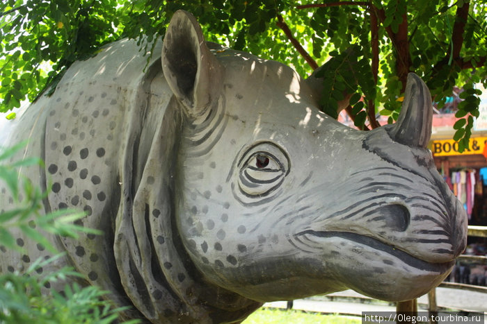 Все хотят увидеть носорога Зона Нараяни, Непал