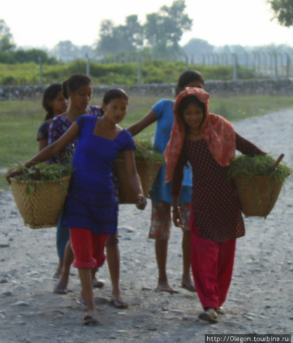 Сельская жизнь Зона Нараяни, Непал