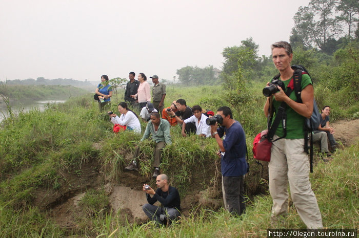 Слух о том, что носороги пришли на реку прошёл по деревне, толпы туристов пришли сюда на них посмотреть Зона Нараяни, Непал