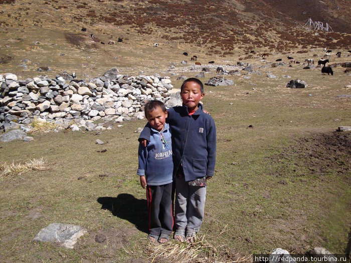 Детишки Лангтанга очень любят фоткаться Непал